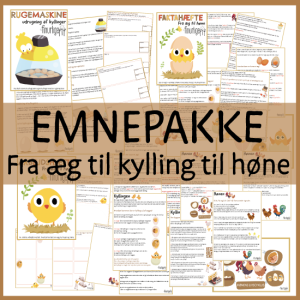 Fra æg til kylling til høne - Emnepakke