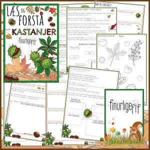 LæsogForstå - Kastanjer