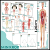 Kroppens anatomi (systemer)
