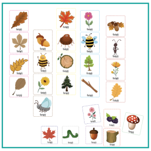 Naturbingo - Brikker