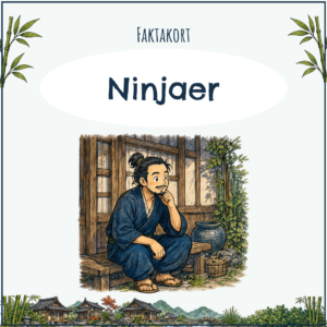 Faktakort - Ninjaer - Indskoling